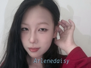 Arlenedaisy
