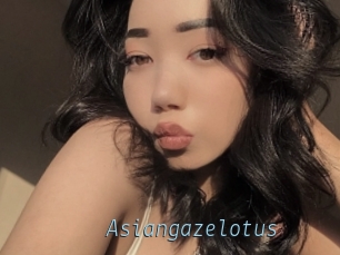 Asiangazelotus