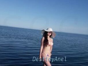 DestinyAnel