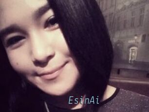 EsinAi