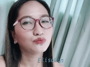 Elisakun