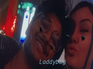 Laddybug