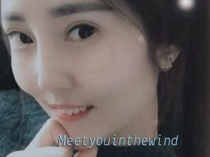 Meetyouinthewind