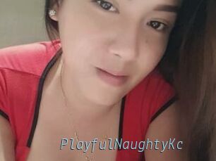 PlayfulNaughtyKc