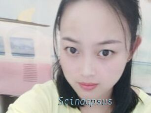 Scindapsus