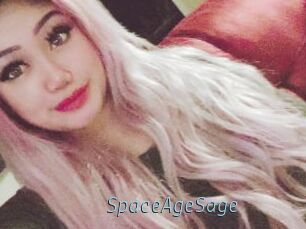 SpaceAgeSage