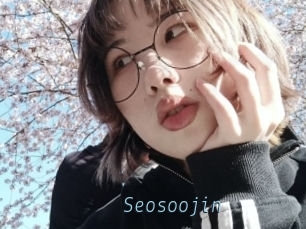 Seosoojin