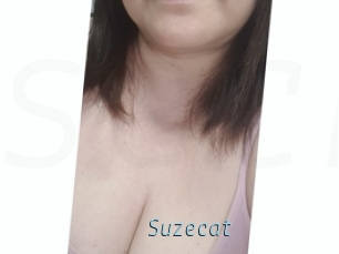Suzecat