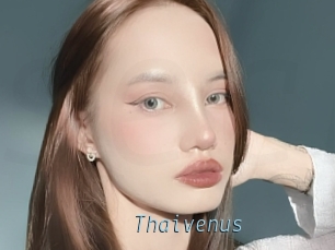 Thaivenus