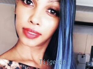 Tijgerin