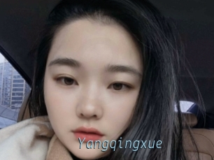 Yangqingxue
